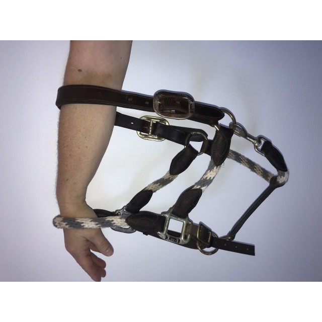 licol en cuir marron et corde bleu/blanche