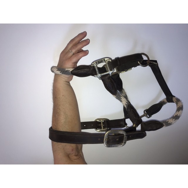 licol en cuir marron et corde bleu/blanche