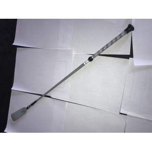 cravache grise ekkia