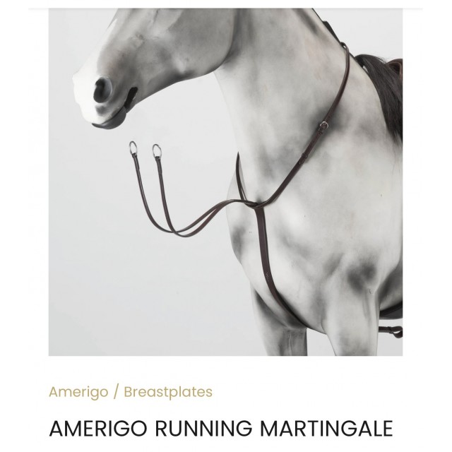 Martingale Amerigo neuve