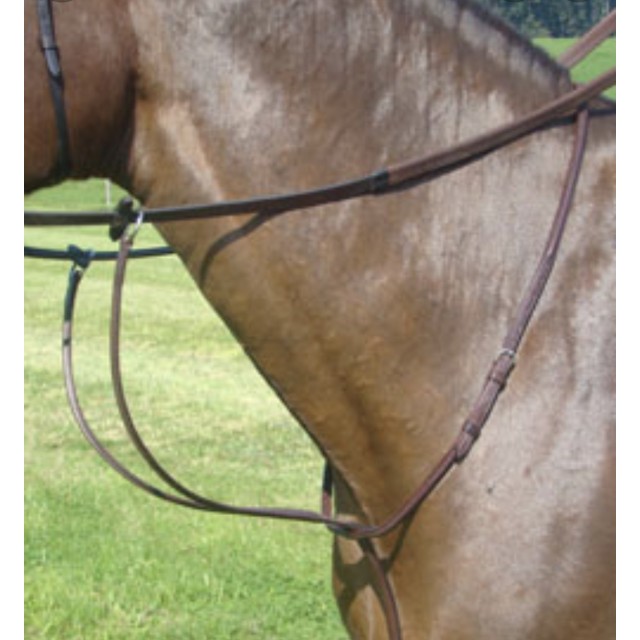 Martingale Amerigo neuve