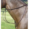 Martingale Amerigo neuve
