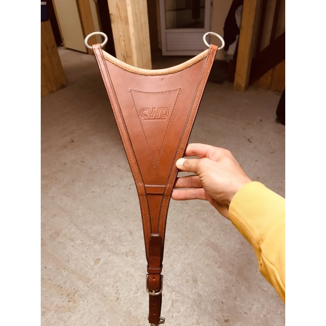 Fourche de martingale CWD