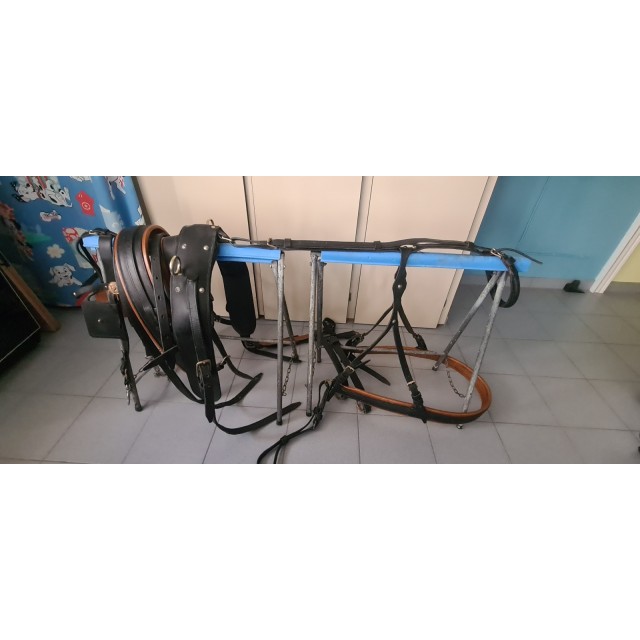 Harnais cuir havane cheval de trait