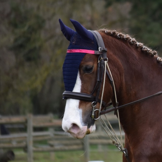 bonnet paddock sport long