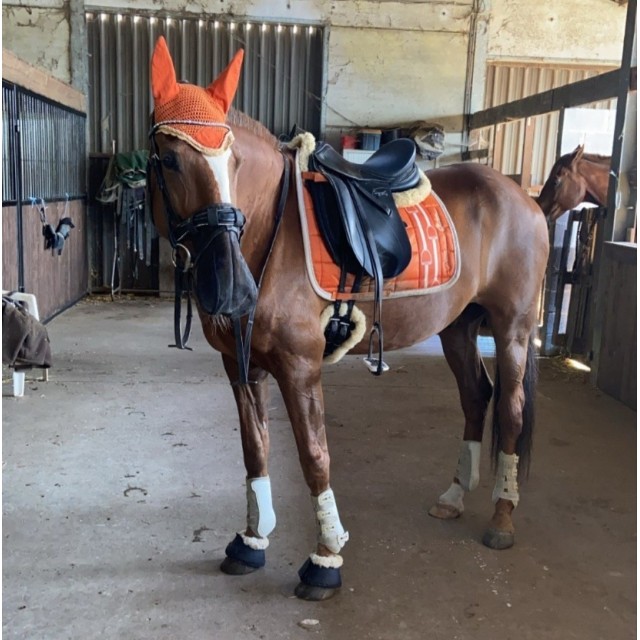 Cloches Éric Thomas