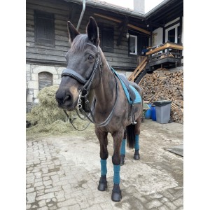 Bride Devoucoux Harmony