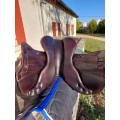 Selle obstacle Forestier modèle Illium