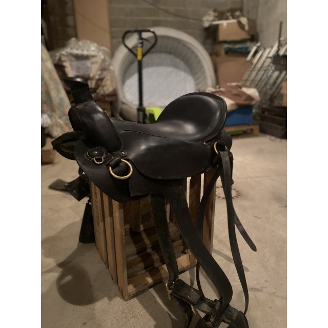 Selle orientée western