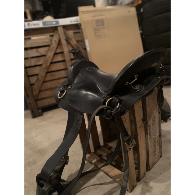 Selle orientée western