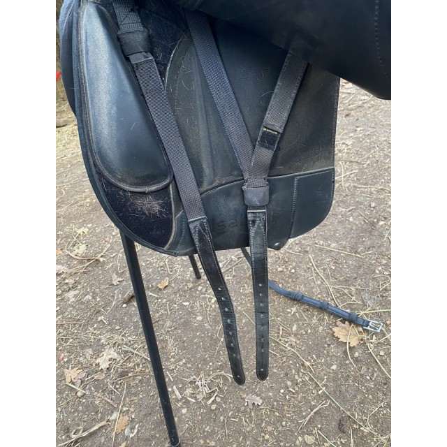 Selle de dressage Isabell Werth