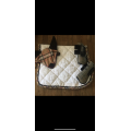 Ensemble d’équitation