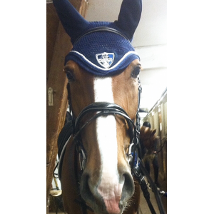 Bridon en cuir noir ERIC THOMAS