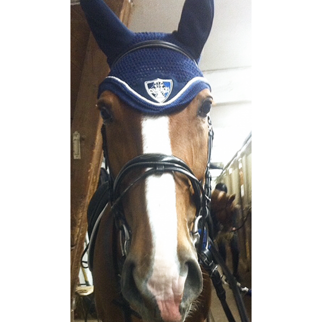 Bridon en cuir noir ERIC THOMAS