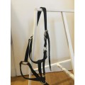 Lot de 3 licols