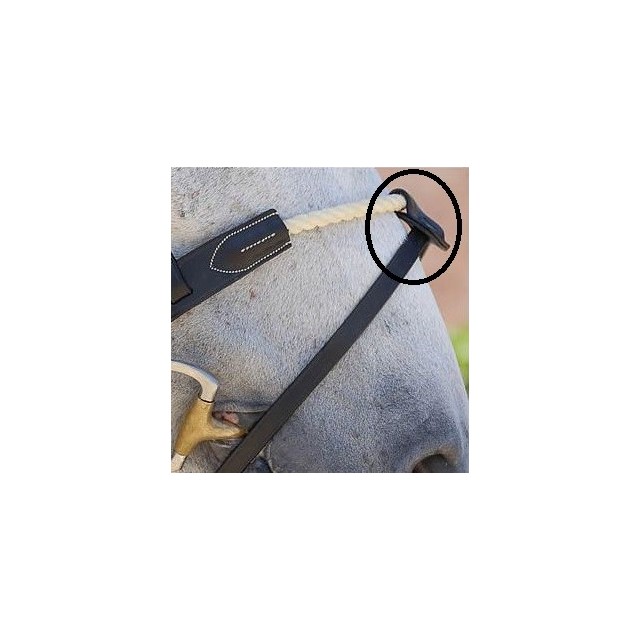 Alliance pour noseband