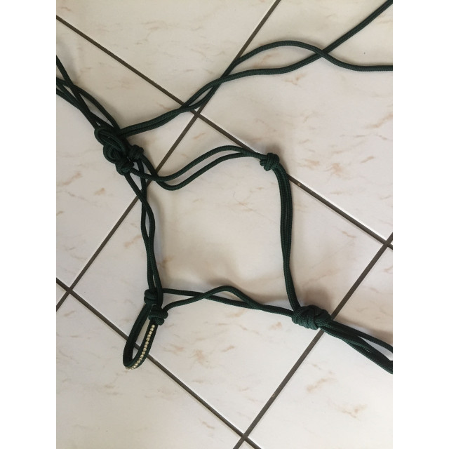 licol éthologique
