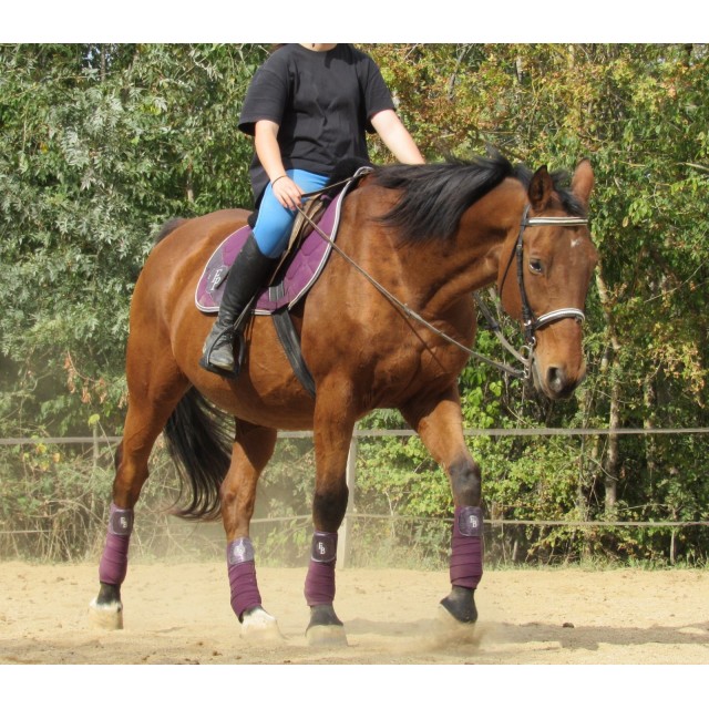 Bandes de polo