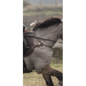 Collier chasse 5 poids