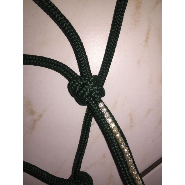 licol éthologique