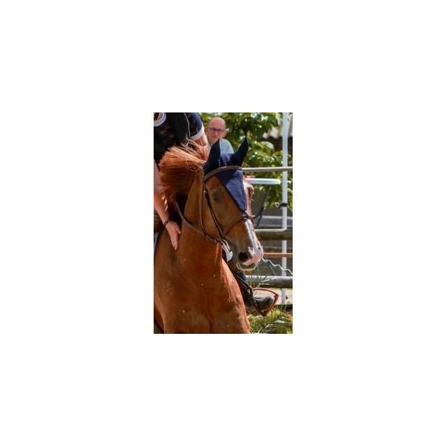 Bonnet long A.S Bleu marine