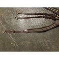 Collier de chasse + martingale