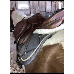 Selle Éric Thomas hybride