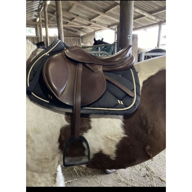 Selle Éric Thomas hybride