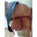 Selle ZALDI olympic mixte