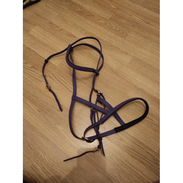 Bridon Licol TdeT violet