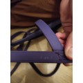 Bridon Licol TdeT violet