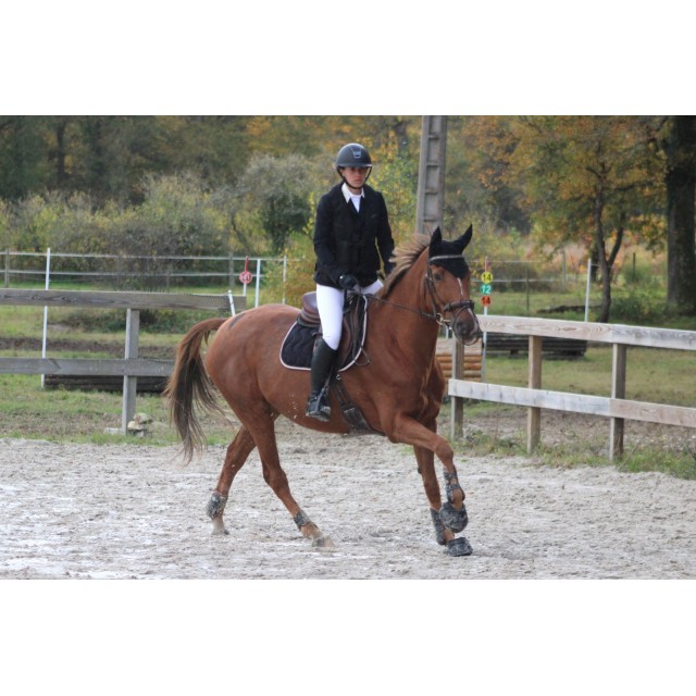 Tapis paddock noir et rose pailleté - édition limitée