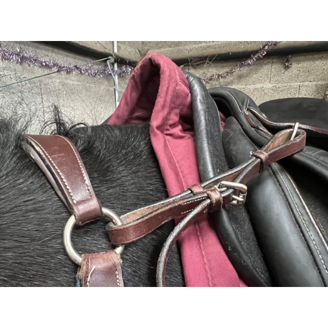 collier de chasse 5 points