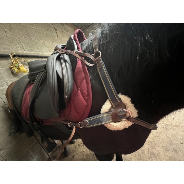 collier de chasse 5 points