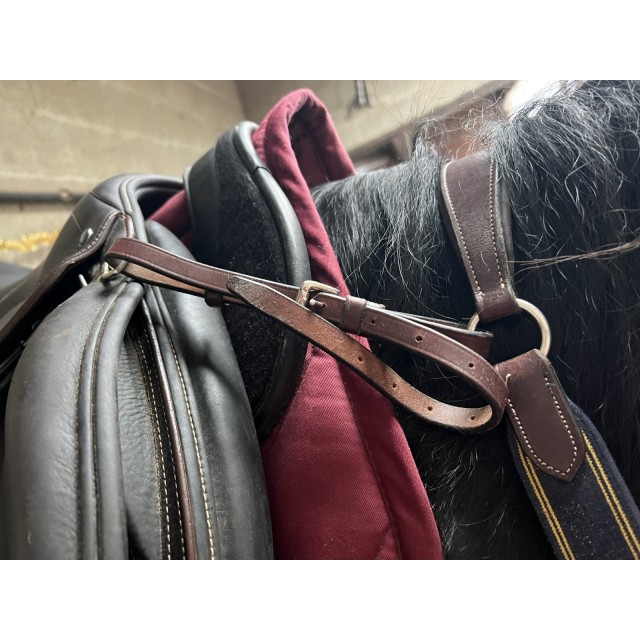 collier de chasse 5 points