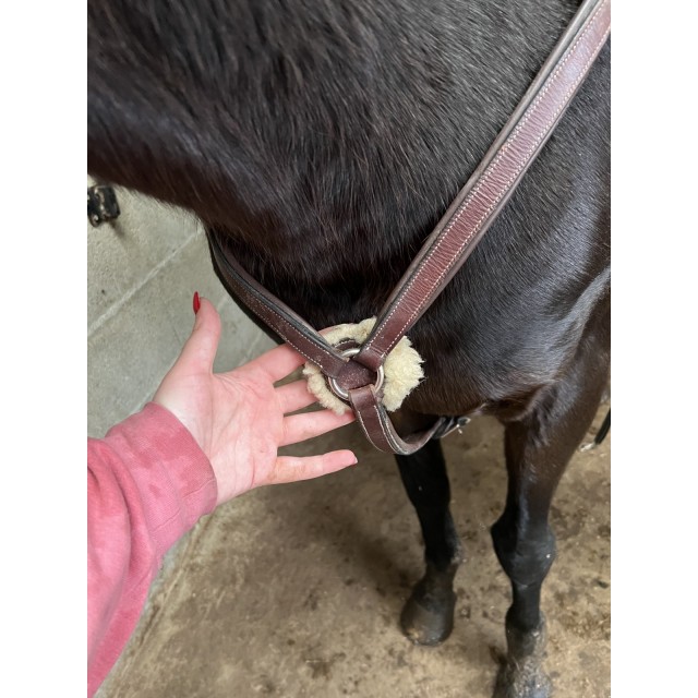 collier de chasse 5 points