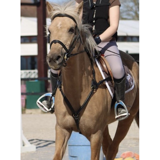 collier de chasse time rider taille poneyD