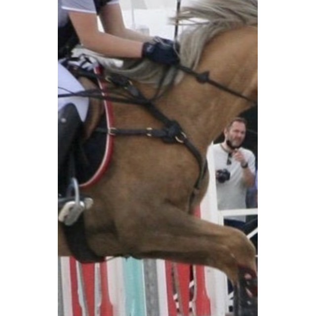 collier de chasse time rider taille poneyD