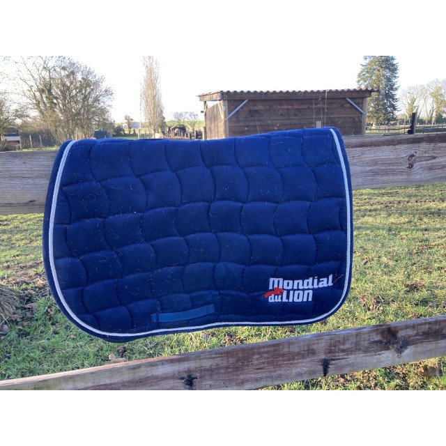 Tapis Harcour x Mondial du lion