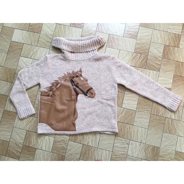 Pull Hiver cheval 38-40
