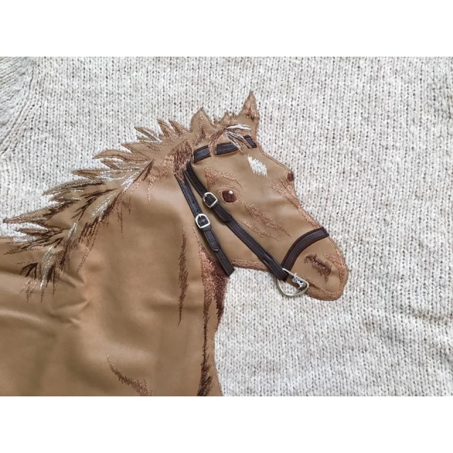 Pull Hiver cheval 38-40
