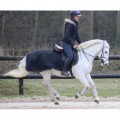 Amortisseur noir mouton taille cheval