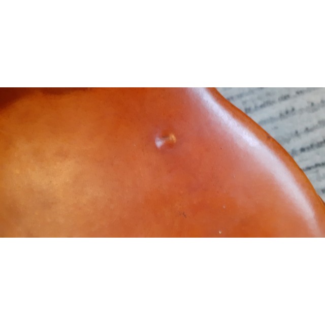 Selle obstacle stubben