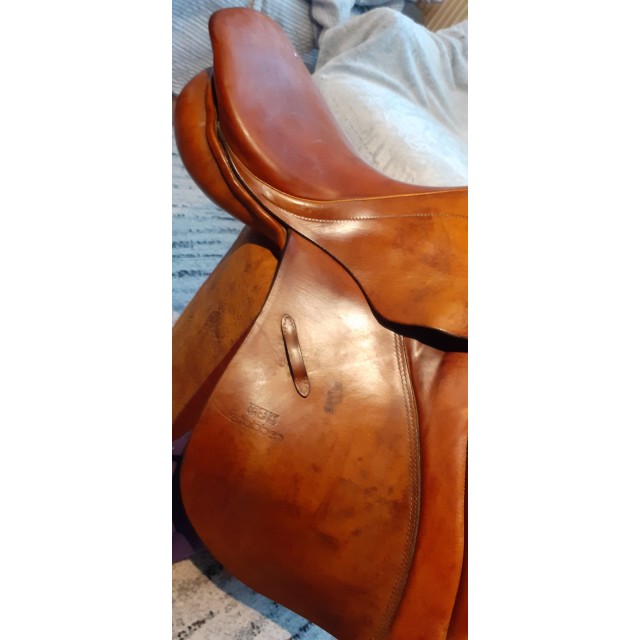 Selle obstacle stubben