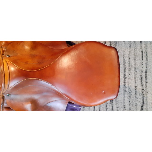 Selle obstacle stubben