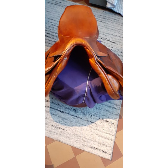 Selle obstacle stubben