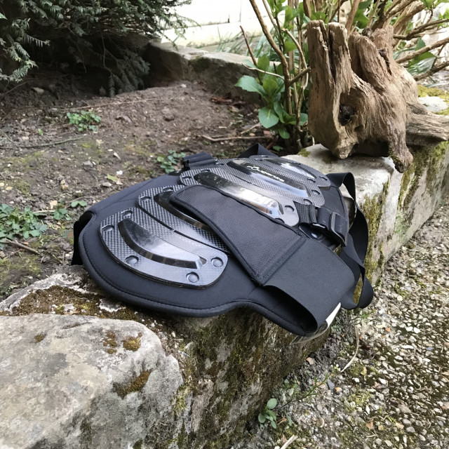 Coque dorsale de protection