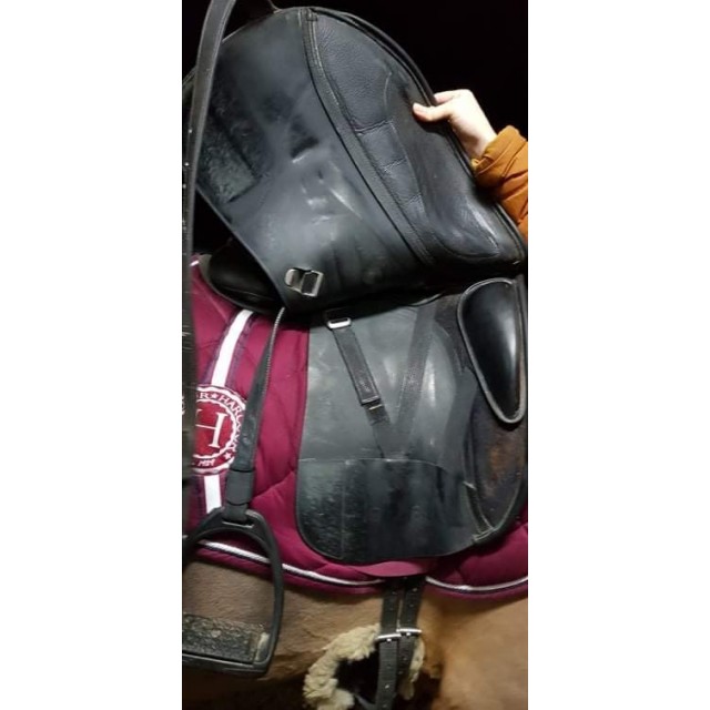 Selle dressage Isabell Werth / Bates