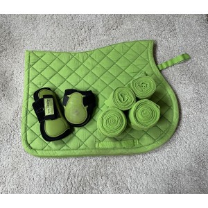 Ensemble Lami cell vert