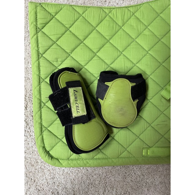 Ensemble Lami cell vert